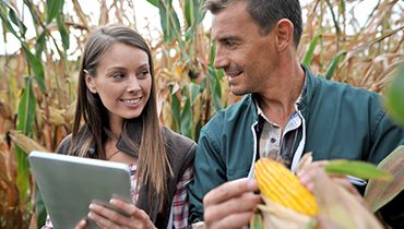 <span>Agriculture</span>Advisory services