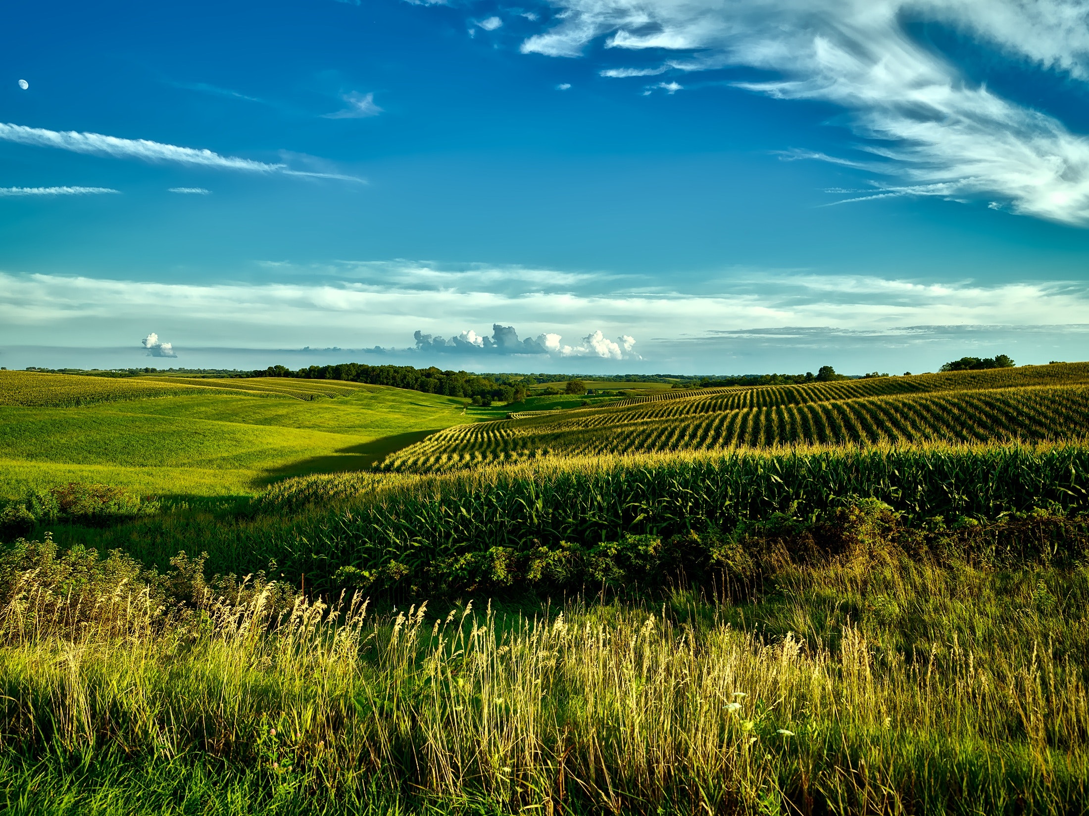 Polish-Farm-to---2