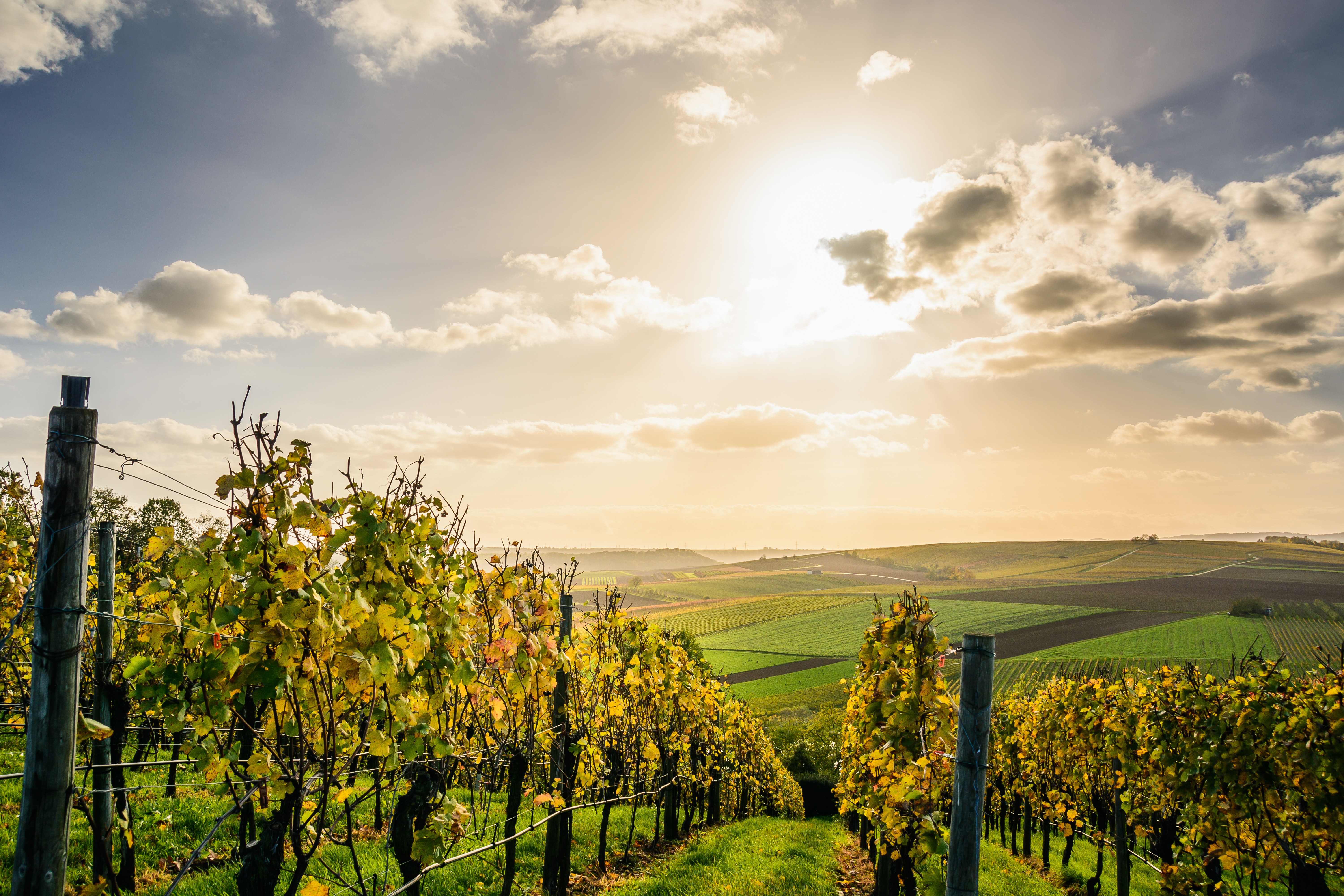 Polish-Farm-to---7